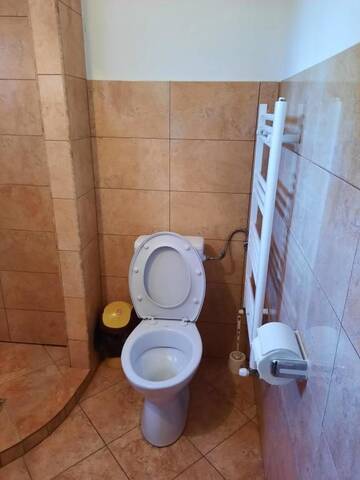 Фото номера Двухместный номер с балконом Проживание в семье Gold Fayen House г. Tureni 4