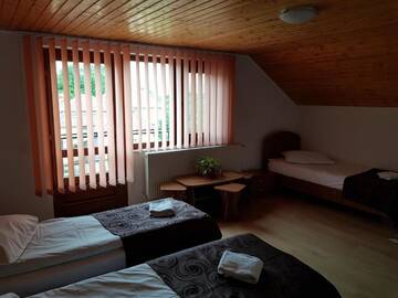 Фото номера Трехместный номер с душем Проживание в семье Gold Fayen House г. Tureni 7